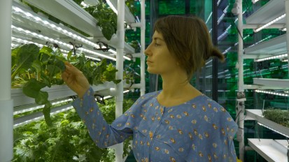 Meet the futuristic farmer growing vegetables vertically in&nbsp;Georgia